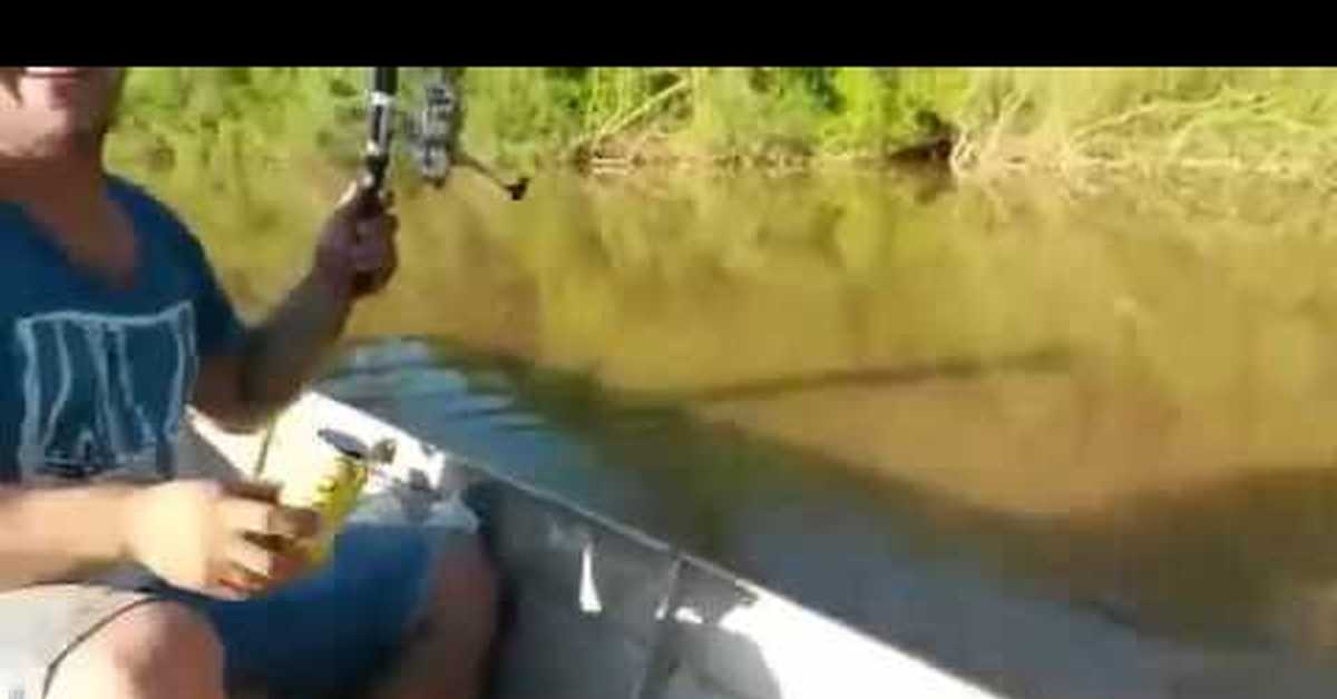 рыба пьет пиво вместе с рыбаками рыба пьет пиво вместе с рыбаками