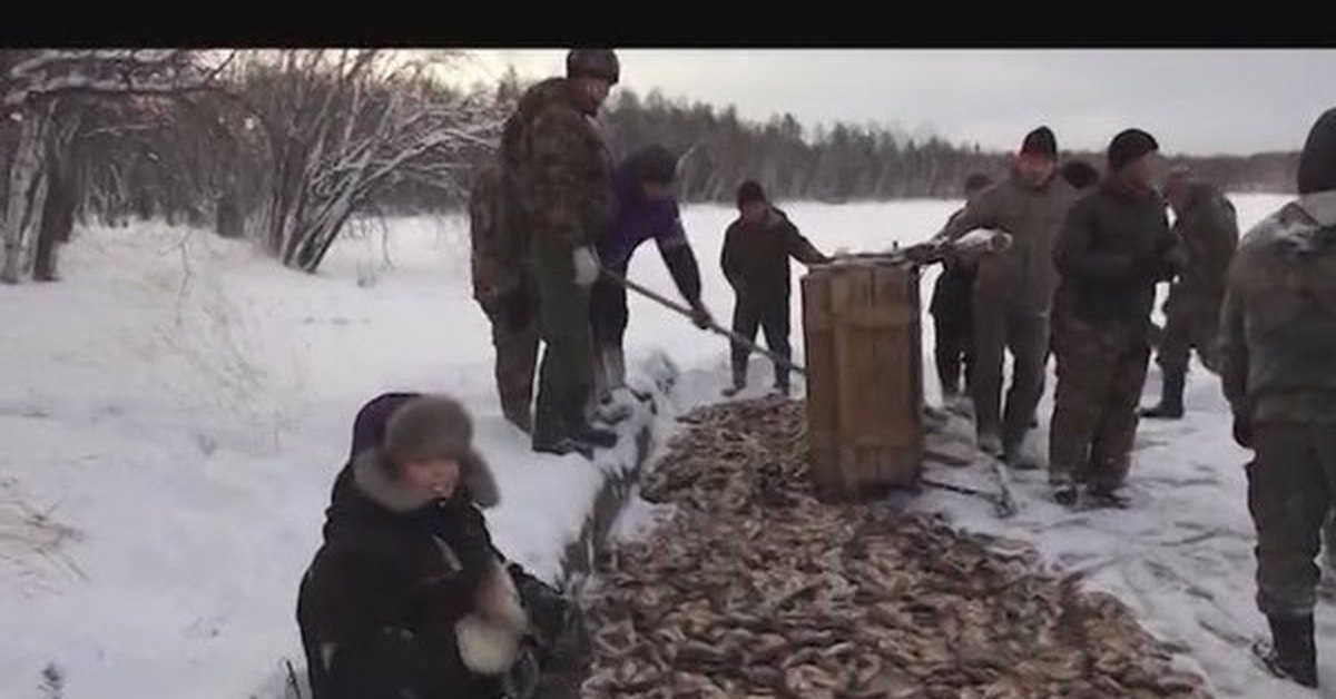 видео рыбалка в якутии 2017 видео рыбалка в якутии 2017