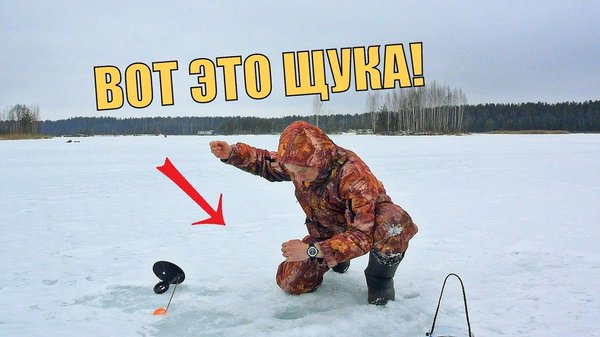 живец для рыбалки в сургуте живец для рыбалки в сургуте