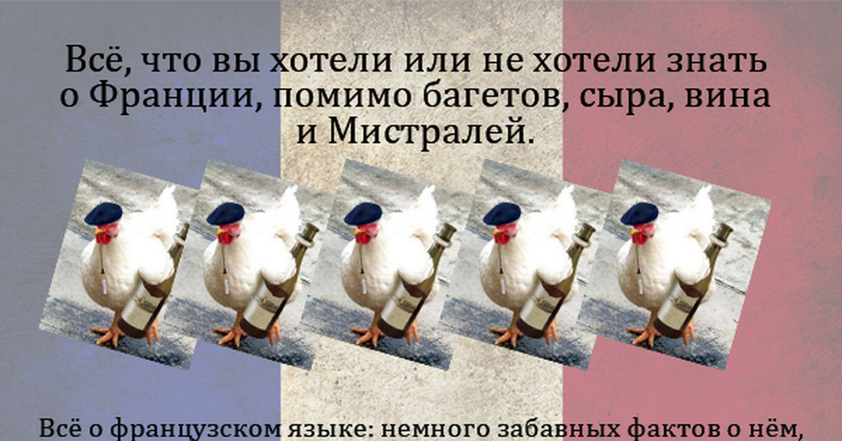 Гдз попова, казакова французский язык Гдз попова, казакова французский язык